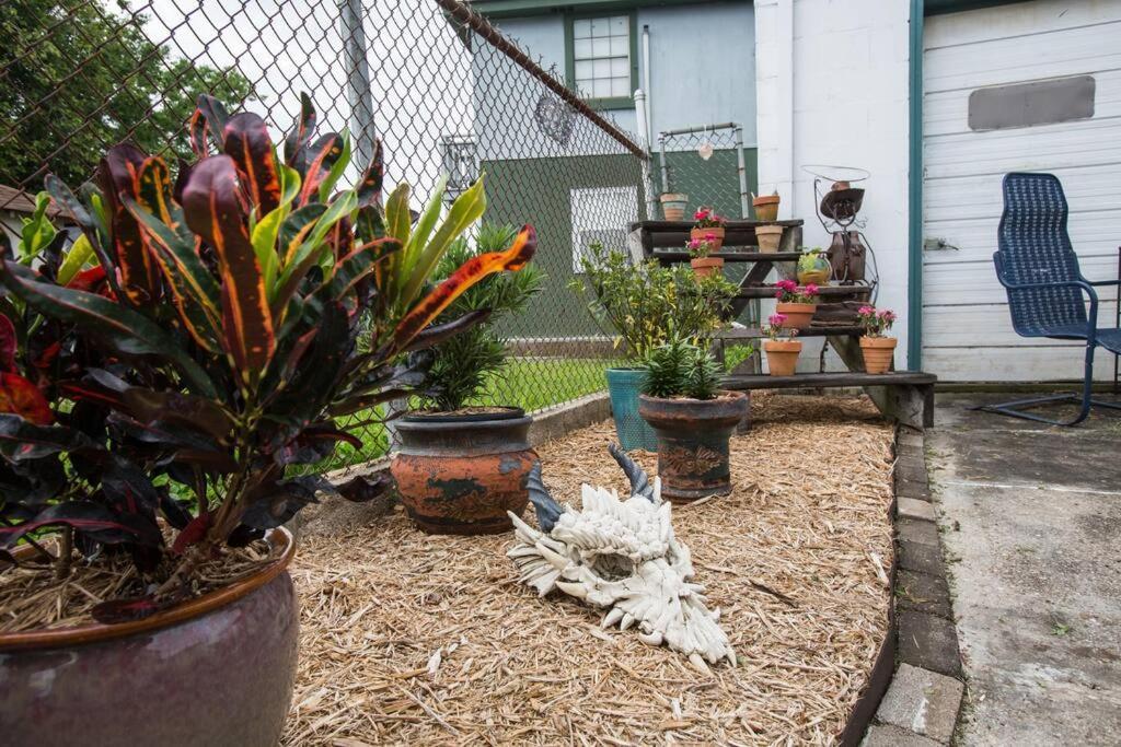 Big Easy Charmer License #23-Ostr-12410 Nueva Orleans Exterior foto